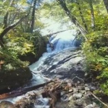 『朝のお散歩、続き』の画像