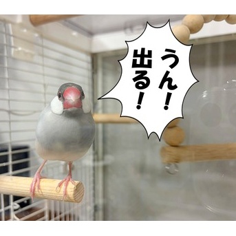 気がつかない弟