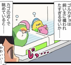 鳥、自分の時間を大事にして─ ─