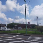 ウシ子とウシ夫の牛歩旅