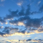 毎月5万は貯金したい(*´ω`)底辺貧乏独女の節約生活