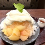 宝塚コミパ通信