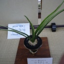 2024年　東京支部展から（103）