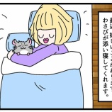 『最近添い寝してます。』の画像