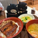 クロは、土用のうちにウナギを🥢＠すき家