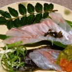 土佐料理　旬の鰹がゆく！