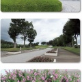 お墓参りと航空記念公園