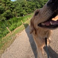 シェリーさん。