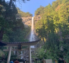 海外「和歌山県には何でも揃ってる！」日本のマイナーだけど魅力的な観光地に対する海外の反応