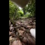 【動画】猫に首輪カメラをつけてみる ⇒ 想像以上に厳しい猫社会の現実がこちら・・・