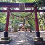 努力の上に花は咲くⅡ
