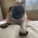 金曜日の、さんちゃん。