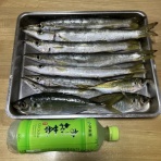 きーくんの株日記 （ 高値わし掴み禁止 ）