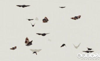 羽ばたく蛾