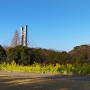 事実と向き合う時は、積極的に