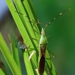 今日もワクワク♪　(#^.^#)