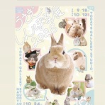 SNOWDROP.n&kのサクサク日記