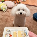 今日をいい日に