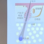 ～ULTIMANIAへの道～