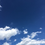 『人生は旅路』の画像