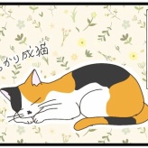 次のターゲット①【NNNにロックオンされています】