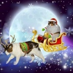 おっちゃんの気まぐれサラダ。