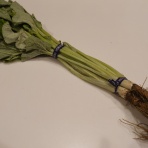 モンコの染織日記