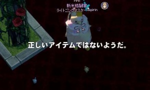 ミニドール「正しいアイテムではないようだ。」