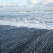 ありがとう鹿島灘サーフ２０１４年　初冬の陣①