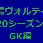 『徳島ヴォルティス2020年陣容 GK編』の画像