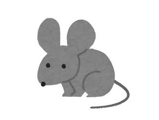 以前ファミレスで働いてたんだけどGやネズミを見かける事が多くなり遂にお客さんから苦情がきたので本部から直々に駆除命令が来た
