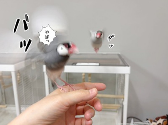 完全なるストーカーです