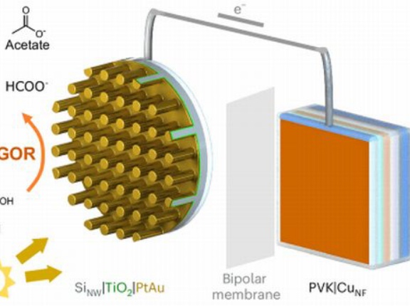 「光合成を模倣して二酸化炭素から炭化水素を作り出すパネル」が開発される…無機物で光合成を再現！