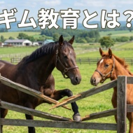 ギム教育