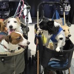 名古屋市守山区 ペットショップワンラブ カインズ守山店のスタッフブログ