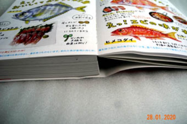 Shock Chiのあゆblog 鮎釣 鮎道具作り