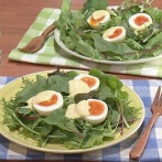 ゆで卵にマヨネーズつけて食べる妻を見た夫が「卵に卵つけてるだけじゃんwﾌﾟｰｸｽｸｽw」と笑う　→　妻がキレッキレの返しで完全論破してしまうｗｗｗｗｗ