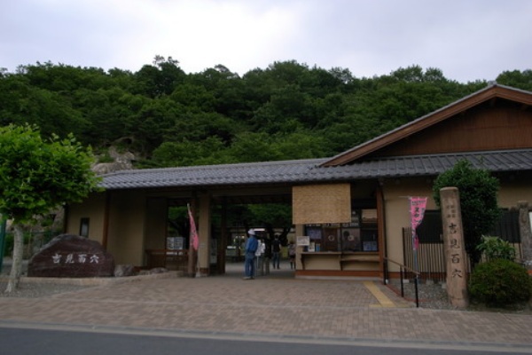 とん子の写真日記 ﾊﾟｼｬ コケ こけ 苔が好き