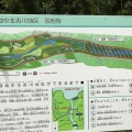 滋賀県で絶対おすすめの無料キャンプ場！20回以上利用した中主吉川公園（湖岸緑地）の全てを詳しくブログで紹介。