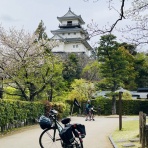 波乗り税理士．．波に乗れるか?