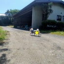 ぱぱちゃん実家に行って来ました〜の事。