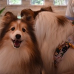 メロディ＆ミニーの写真館