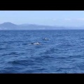６月１４日（日）漁船