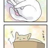 後ろ足伸びがちボーイ