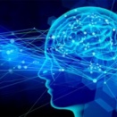 AIによる概要で完結する理由