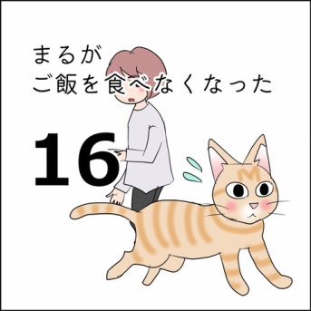まるがご飯を食べなくなった16