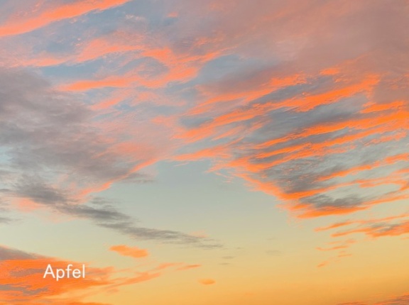 スイス クラン・モンタナで起きた火災