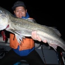 11月15日〜16日釣果情報！！