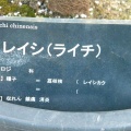 現在の状況250710