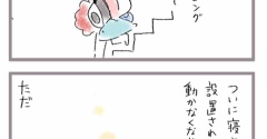 ぬいぐるみの行き場所